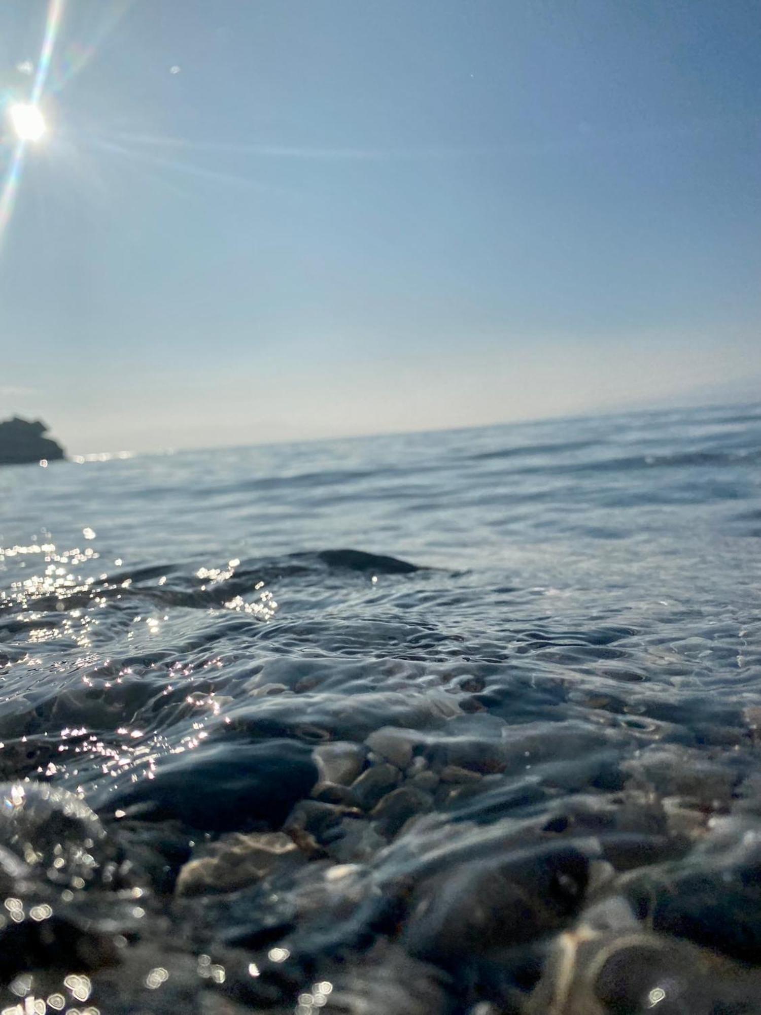 Carpe Diem Apartment Senj  Eksteriør bilde