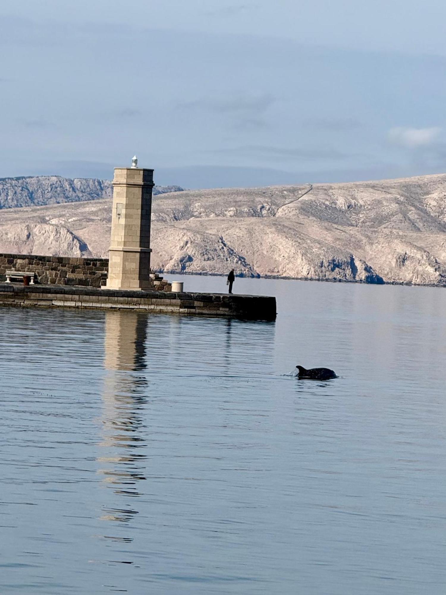 Carpe Diem Apartment Senj  Eksteriør bilde